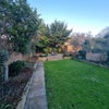 Photo 6: Garden