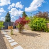 Photo 7: Garden