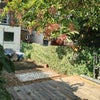 Photo 5: Back Garden 