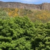 Photo 9: Nothing in front but the stunning, peaceful Arthur’s Seat and Salisbury Crags