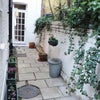 Photo 8: Patio garden