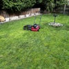 Photo 5: Garden