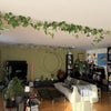 Photo 7: Living room & my desk