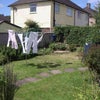 Photo 6: Garden