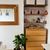 Photo 4: Shelves, mirror & chest of drawers included 