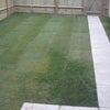 Photo 18: COMMUNAL GARDEN