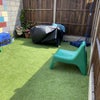 Photo 5: Garden 