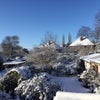 Photo 7: Snowy view of the garden