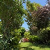 Photo 6: Garden