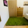 Photo 2: With Carpet :)