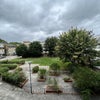 Photo 9: View from room [overlooking a dog park, just on the periphery of Victoria Park]