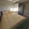 Photo 2: Sunny Bedroom