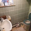 Photo 8: Downstairs Toilet