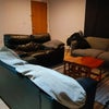 Photo 3: Living room