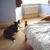 Photo 9: The pic is old and the new decor is shown in video clip