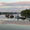 Photo 6: The Thames at Chiswick Pier