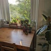 Photo 4: The kitchen