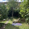Photo 5: Garden