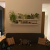 Photo 3: Living Room 2
