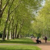 Photo 11: Hyde Park