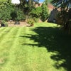 Photo 9: GARDEN