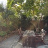 Photo 3: Garden