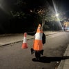 Photo 2: Traffic cone outfit included