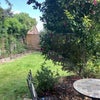 Photo 2: garden