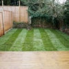 Photo 9: Garden