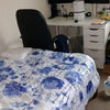 Photo 8: Bedroom