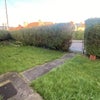 Photo 7: Front garden