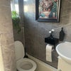 Photo 5: Downstairs toilet 