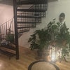 Photo 3: Indoor jungle :))