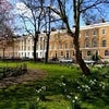 Photo 11: Tredegar Square