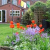 Photo 5: Garden