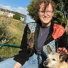 Photo 3: I don't have a dog, she was just visiting in the photo!