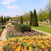 Photo 11: Regent's park