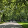Photo 13: Hyde park