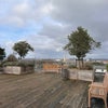 Photo 8: Roof Terrace