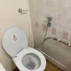 Photo 4: WC with hand held bidet