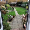 Photo 9: Large garden with shed