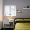 Photo 2: Room 1 - avail now 