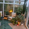 Photo 7: Conservatory