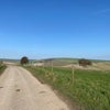 Photo 8: South downs 10 mins walk away 