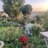 Photo 8: Garden