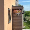 Photo 9: house
