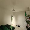 Photo 3: ROOM 1 (LIVE)