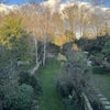 Photo 9: View of garden from top floor