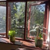 Photo 7: Living room window