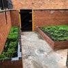 Photo 2: With Rear ORGANIC ONLY Garden - Want to grow your own food ?
